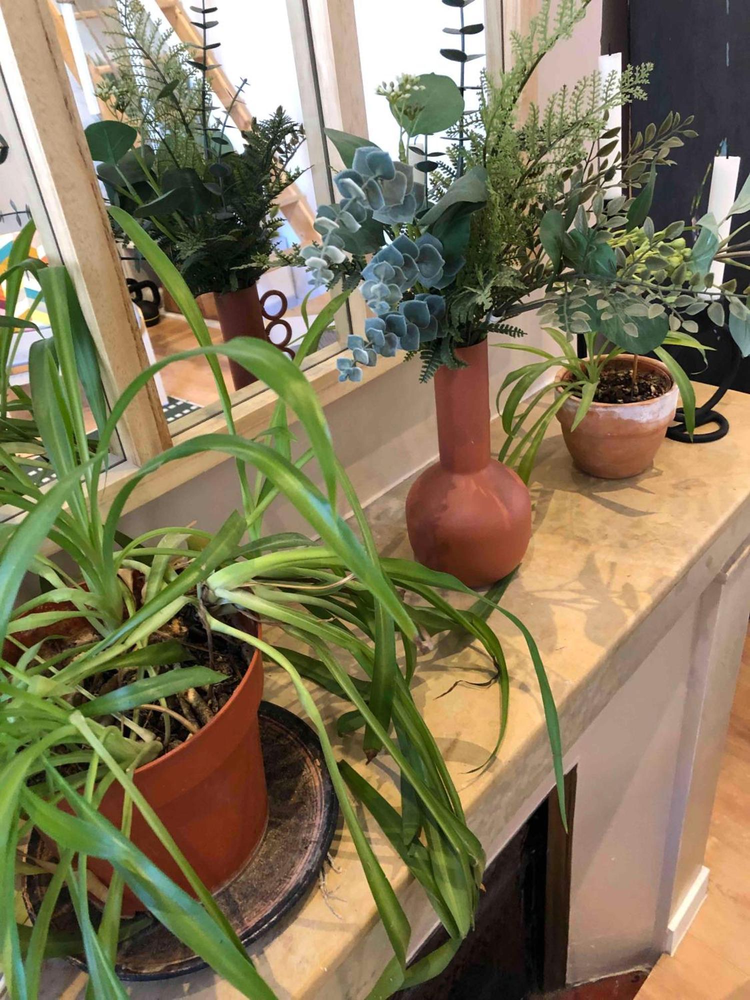 Cocons * Avignon